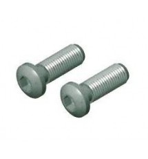 Tornillo de Unión M-12