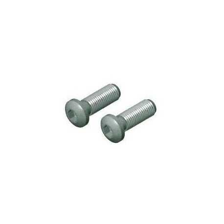 Tornillo de Unión M-12